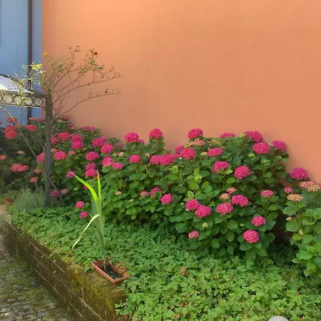 La Casa Celeste Отель типа 