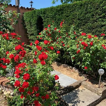 La Casa Celeste Bed & Breakfast