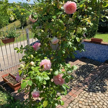 La Casa Celeste Bed & Breakfast 3*