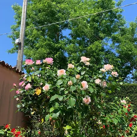 Bed & Breakfast La Casa Celeste 3*