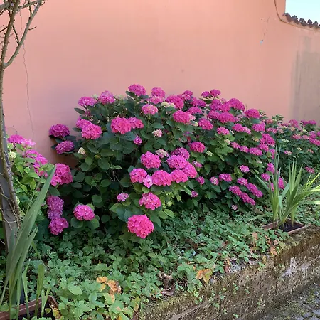 La Casa Celeste
